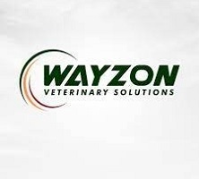 WAYZON